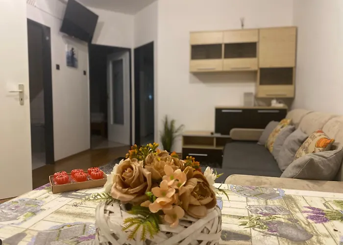 Mary\'S City Room